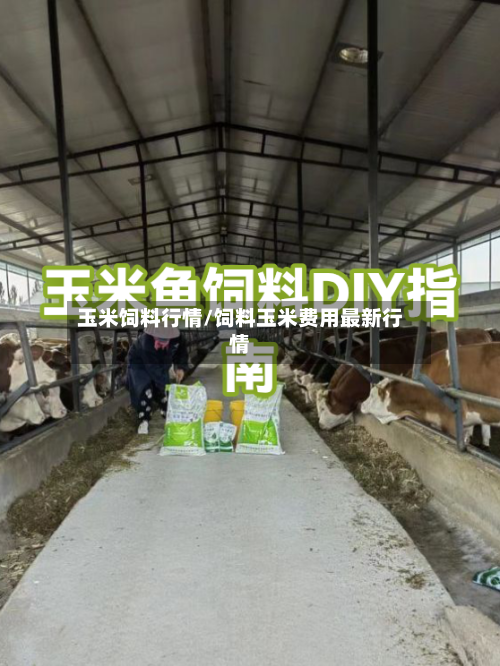 玉米饲料行情/饲料玉米费用最新行情-第3张图片