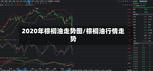 2020年棕榈油走势图/棕榈油行情走势-第2张图片