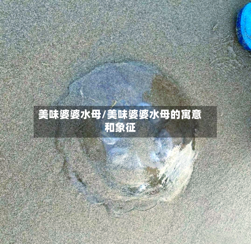 美味婆婆水母/美味婆婆水母的寓意和象征-第3张图片