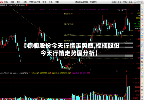 【棕榈股份今天行情走势图,棕榈股份今天行情走势图分析】-第2张图片
