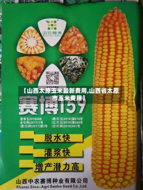 【山西太原玉米最新费用,山西省太原市玉米费用】-第3张图片