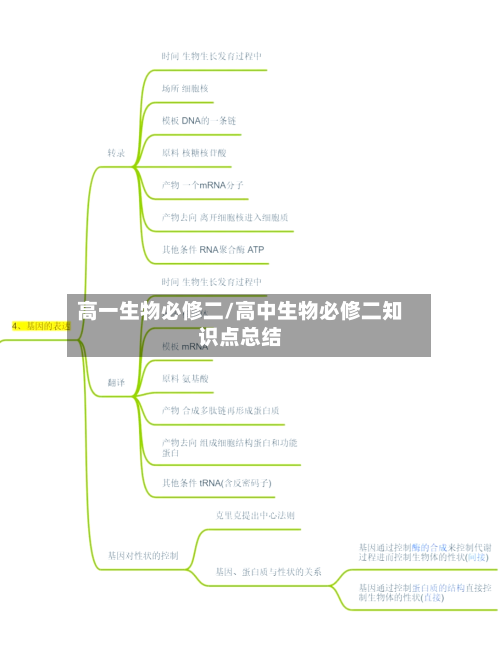 高一生物必修二/高中生物必修二知识点总结