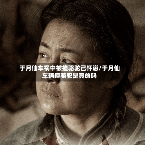 于月仙车祸中被撞骆驼已怀崽/于月仙车辆撞骆驼是真的吗-第3张图片