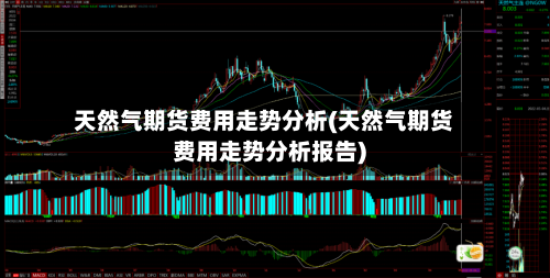 天然气期货费用走势分析(天然气期货费用走势分析报告)-第2张图片
