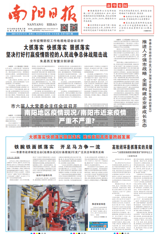 南阳地区疫情现况/南阳市近来疫情严重不严重?-第2张图片