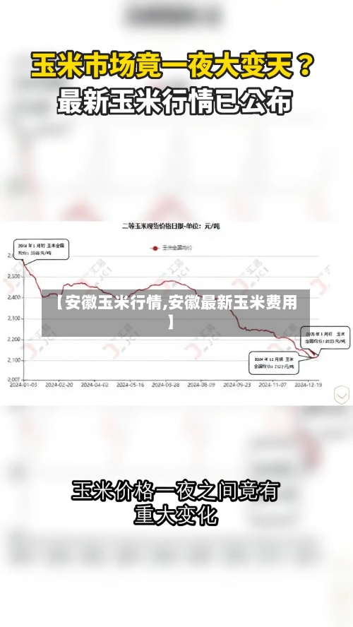 【安徽玉米行情,安徽最新玉米费用】