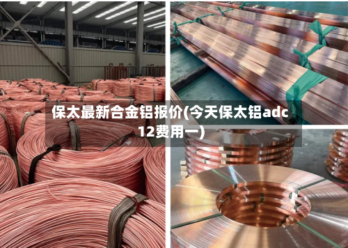 保太最新合金铝报价(今天保太铝adc12费用一)-第2张图片