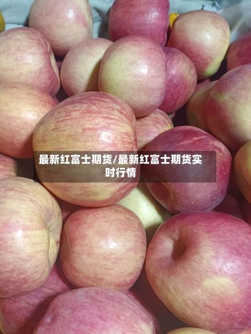 最新红富士期货/最新红富士期货实时行情