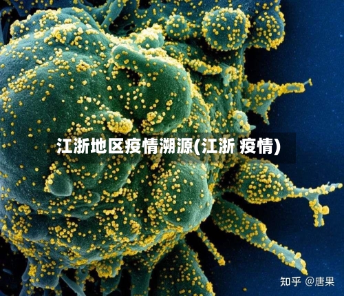 江浙地区疫情溯源(江浙 疫情)