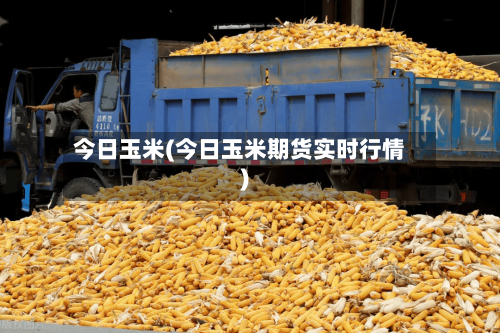 今日玉米(今日玉米期货实时行情)-第3张图片