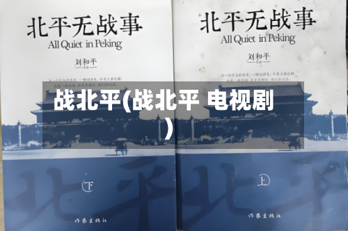 战北平(战北平 电视剧)