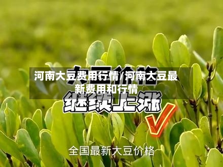 河南大豆费用行情/河南大豆最新费用和行情