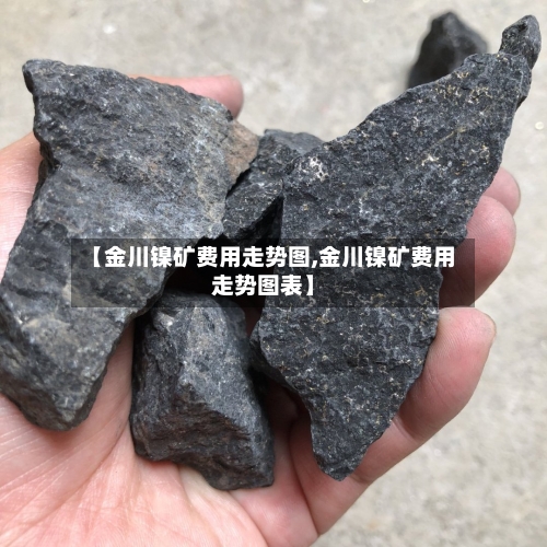 【金川镍矿费用走势图,金川镍矿费用走势图表】