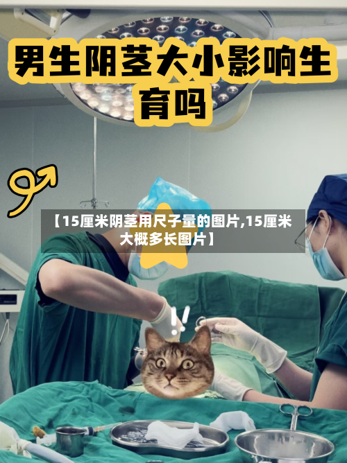【15厘米阴茎用尺子量的图片,15厘米大概多长图片】