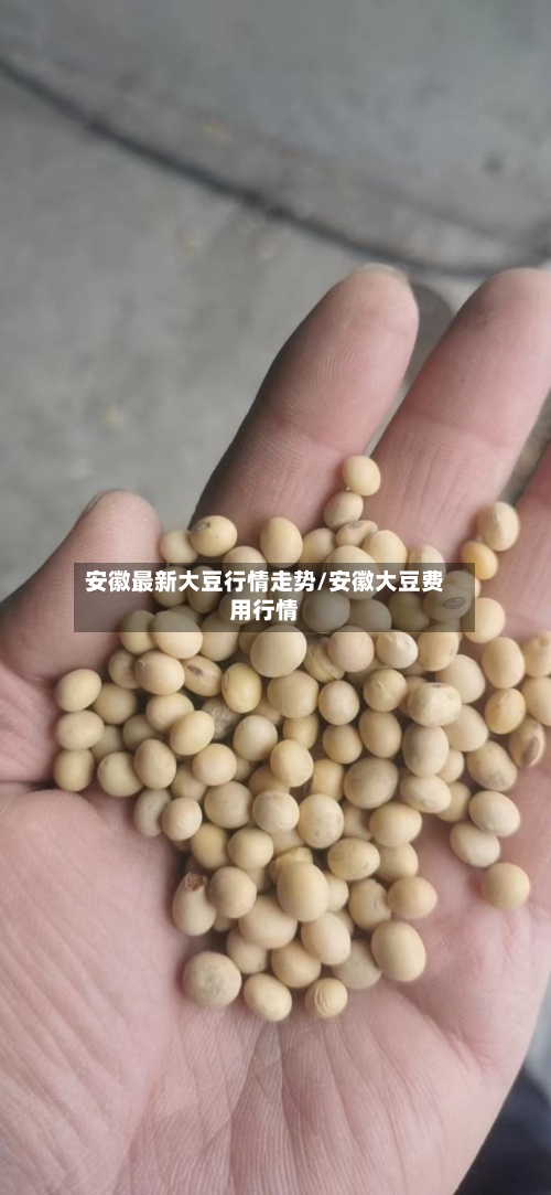 安徽最新大豆行情走势/安徽大豆费用行情