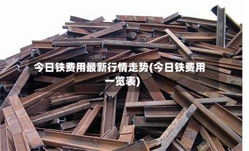 今日铁费用最新行情走势(今日铁费用一览表)-第2张图片