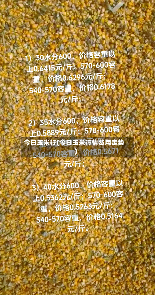今日玉米行(今日玉米行情费用走势)