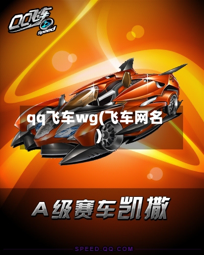 qq飞车wg(飞车网名)