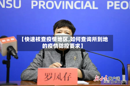 【快速核查疫情地区,如何查询所到地的疫情防控要求】-第2张图片