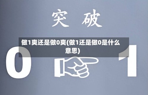 做1爽还是做0爽(做1还是做0是什么意思)
