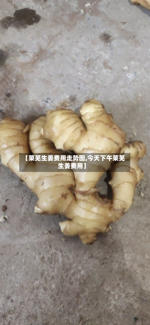 【莱芜生姜费用走势图,今天下午莱芜生姜费用】