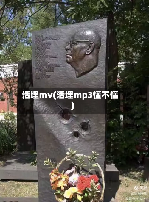 活埋mv(活埋mp3懂不懂)