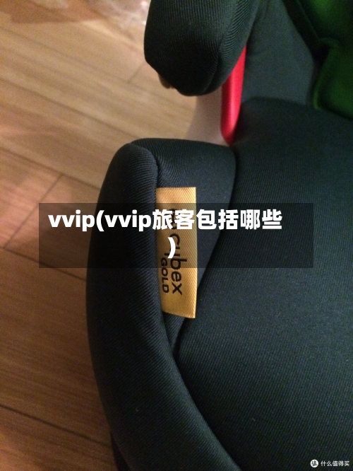 vvip(vvip旅客包括哪些)