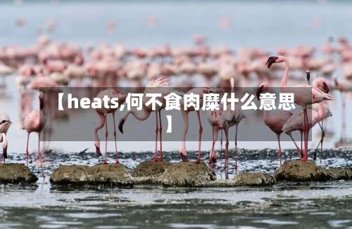 【heats,何不食肉糜什么意思】
