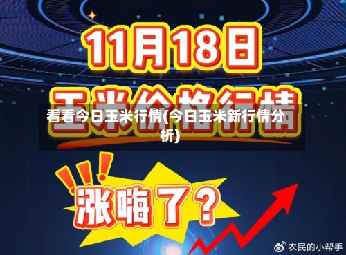 看看今日玉米行情(今日玉米新行情分析)-第2张图片