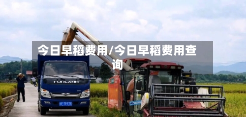 今日早稻费用/今日早稻费用查询-第3张图片