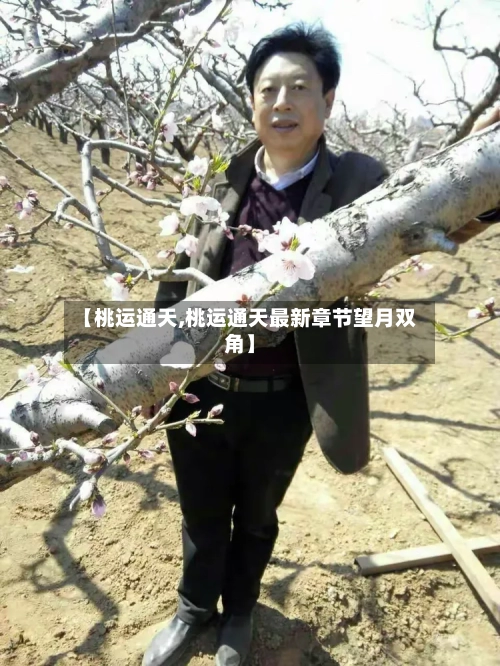 【桃运通天,桃运通天最新章节望月双角】-第3张图片