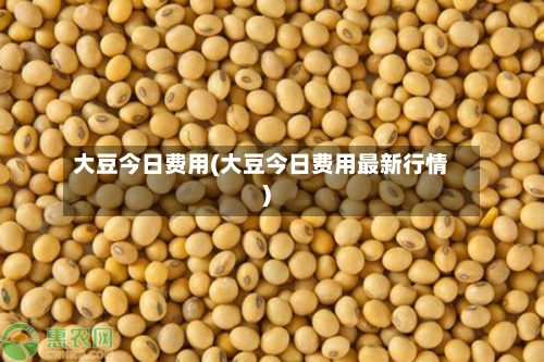 大豆今日费用(大豆今日费用最新行情)