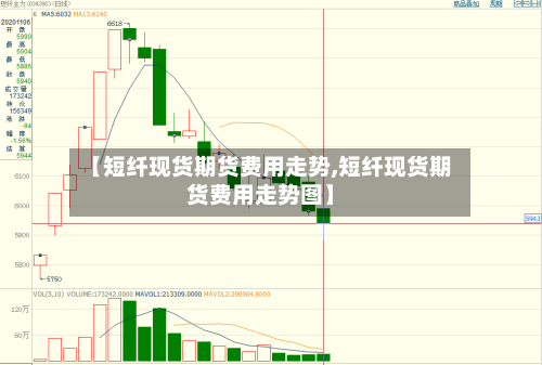 【短纤现货期货费用走势,短纤现货期货费用走势图】-第2张图片