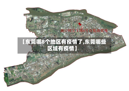 【东莞哪8个地区有疫情了,东莞哪些区域有疫情】-第2张图片