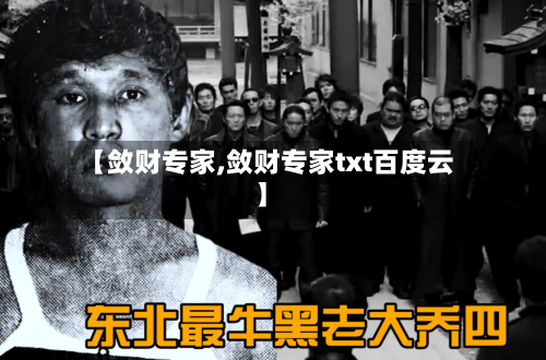 【敛财专家,敛财专家txt百度云】-第2张图片