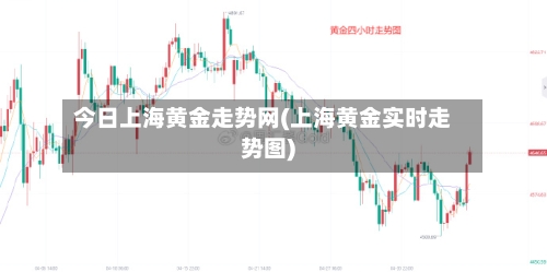 今日上海黄金走势网(上海黄金实时走势图)