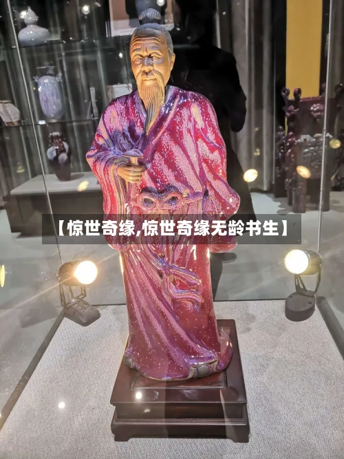 【惊世奇缘,惊世奇缘无龄书生】-第2张图片