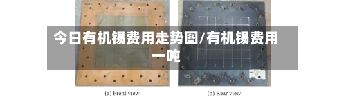 今日有机锡费用走势图/有机锡费用一吨