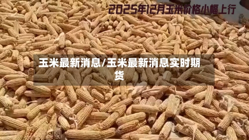 玉米最新消息/玉米最新消息实时期货