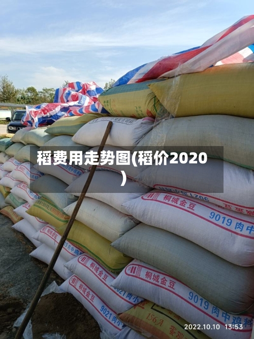 稻费用走势图(稻价2020)