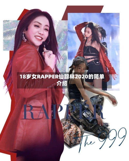 18岁女RAPPER仙踪林2020的简单介绍