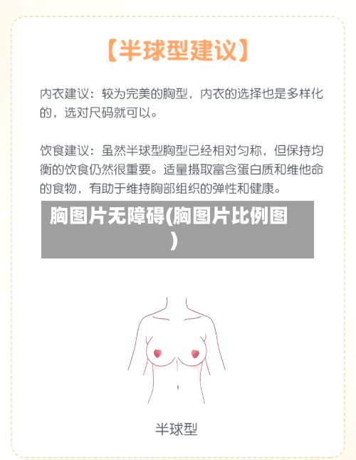 胸图片无障碍(胸图片比例图)