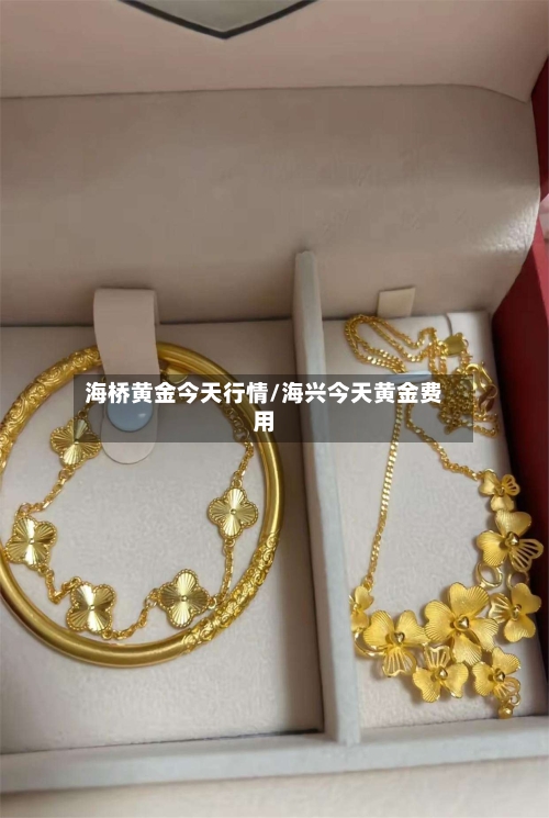 海桥黄金今天行情/海兴今天黄金费用