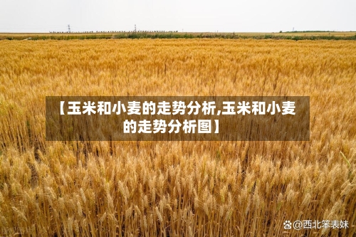 【玉米和小麦的走势分析,玉米和小麦的走势分析图】-第2张图片