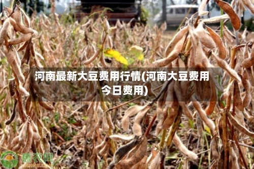 河南最新大豆费用行情(河南大豆费用今日费用)-第2张图片