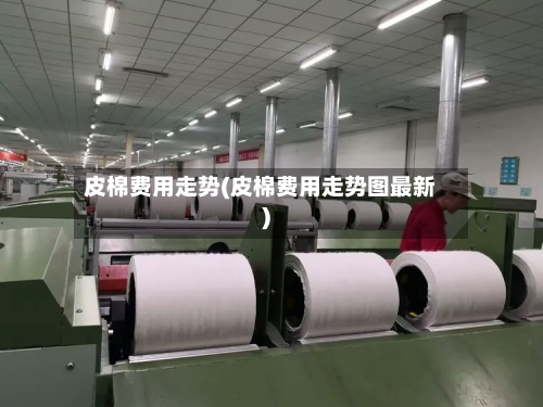 皮棉费用走势(皮棉费用走势图最新)