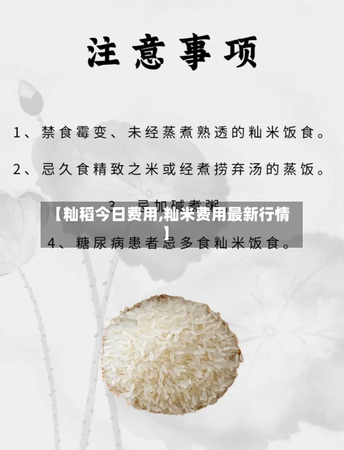 【籼稻今日费用,籼米费用最新行情】-第2张图片