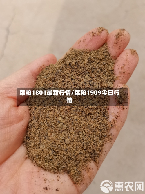 菜粕1801最新行情/菜粕1909今日行情