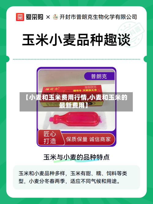 【小麦和玉米费用行情,小麦和玉米的最新费用】