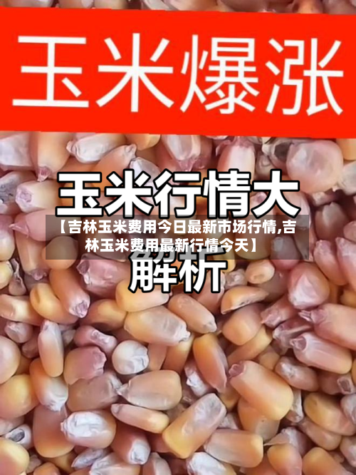 【吉林玉米费用今日最新市场行情,吉林玉米费用最新行情今天】-第2张图片